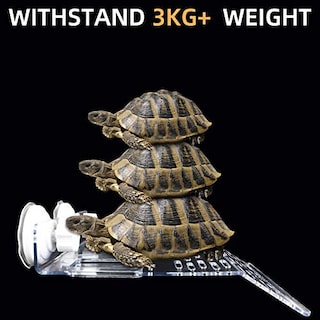 Foto 6 | Plataforma Turtle Basking Ourjob Transparente Para Turtle Tank - Venta Internacional.