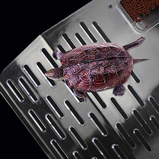 Foto 7 | Plataforma Turtle Basking Ourjob Transparente Para Turtle Tank - Venta Internacional.