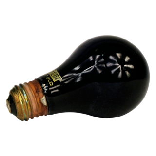Foto 2 | Hagen Foco Exo Terra Night Glo Para Reptiles Y Anfibios Con 50 Watts