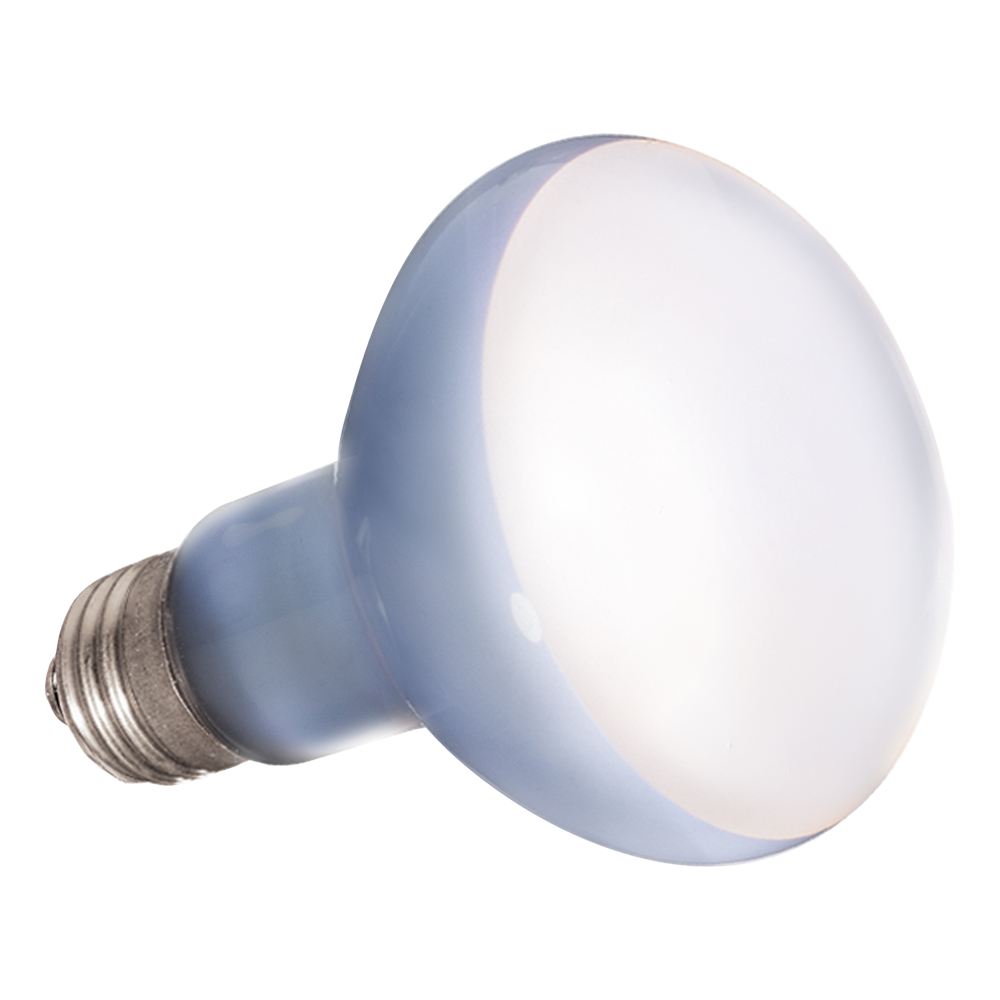 Foto 2 | Hagen Exo Terra Foco Sun Glo Neodymium Para Reptíles Con 75 Watts