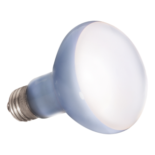 Foto 2 | Hagen Exo Terra Foco Sun Glo Neodymium Para Reptíles Con 75 Watts