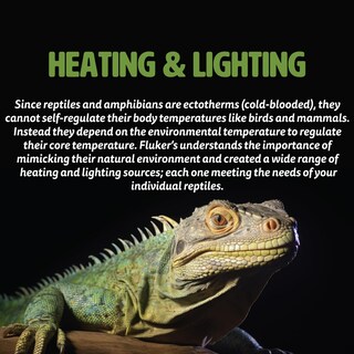 Foto 5 | Lámpara De Sujeción Repta-clamp Heavy Duty De Fluker Para Reptiles, 250 W - Venta Internacional.