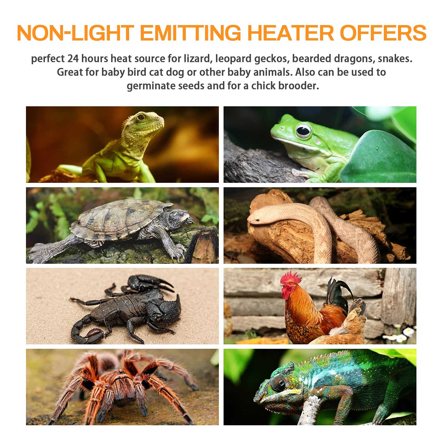 Foto 8 pulgar | Emisor De Calor Cerámico Simple Deluxe De 150 W Para Reptiles, Paquete De 2 - Venta Internacional.