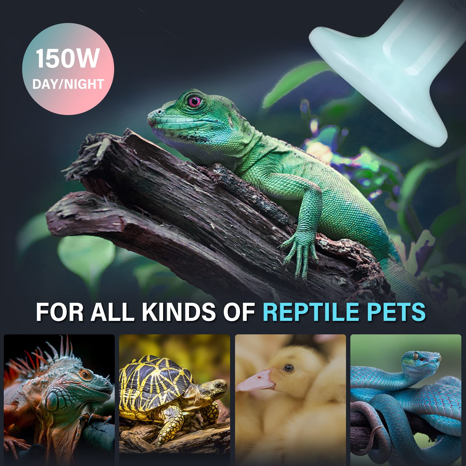 Foto 6 | Lámpara De Calor Con Emisor De Calor Para Reptiles Simple Deluxe, 150 W, Paquete De 2 Unidades, Azul - Venta Interna