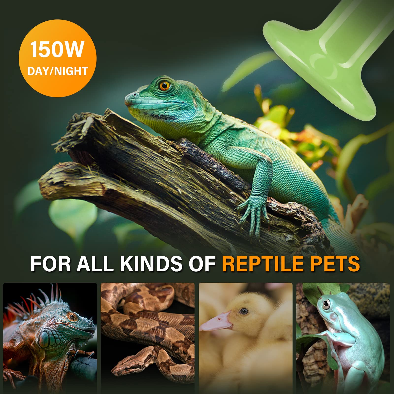 Foto 7 pulgar | Lámpara De Calor Con Emisor De Calor Para Reptiles, 150 W, Simple, Deluxe, Paquete De 2 - Venta Internacional.