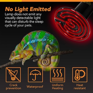 Foto 6 | Bombilla Térmica Y Lámpara Tipo Pinza Para Reptiles Con Reflector Y Termostato - Venta Internacional.