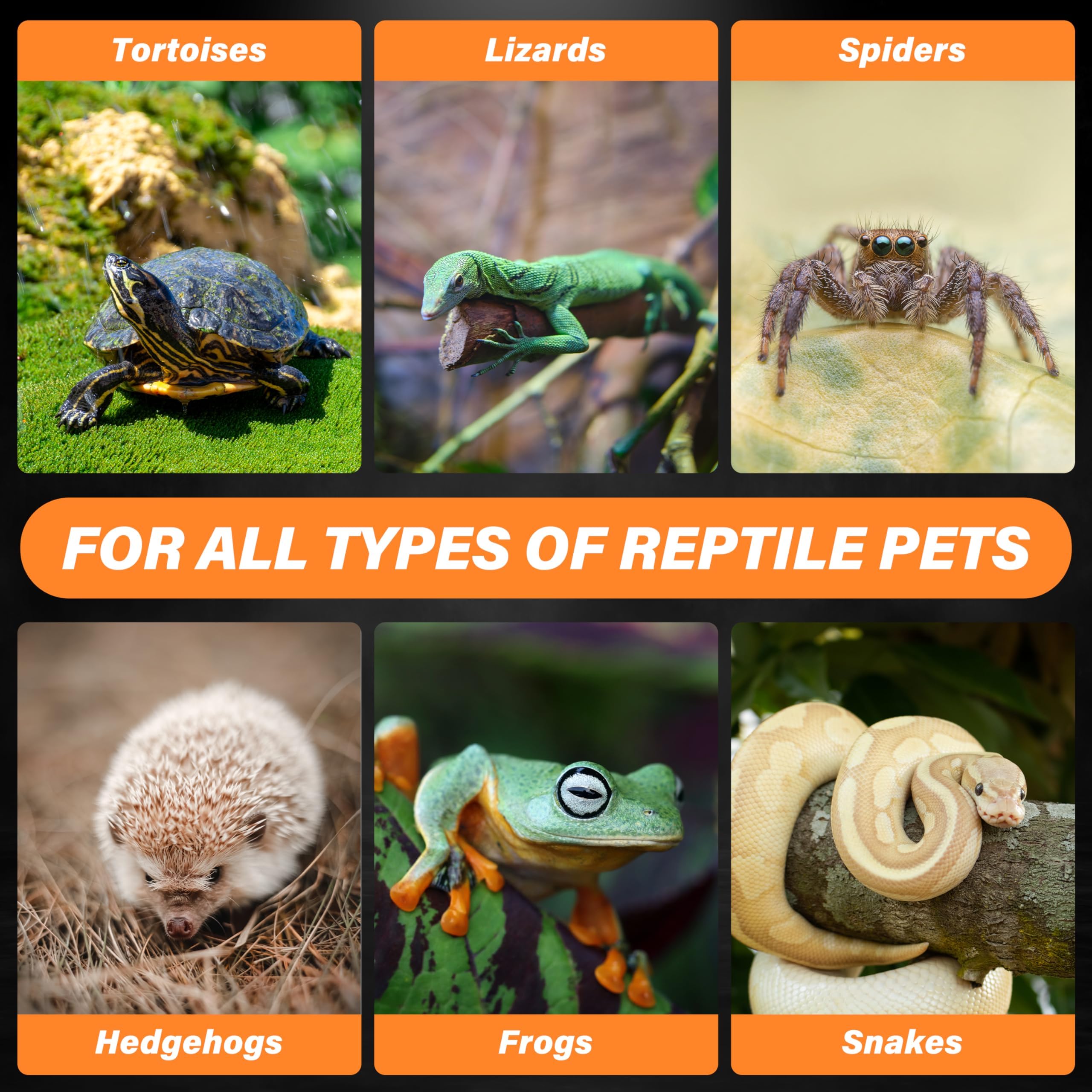 Foto 6 | Lámpara De Calor Para Reptiles Healsmart  75 W  Paquete De 2 Emisores De Calor De Cerámica - Venta Internacional.