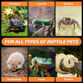 Foto 6 | Lámpara De Calor Para Reptiles Healsmart 75 W Paquete De 2 Emisores De Calor De Cerámica - Venta Internacional.