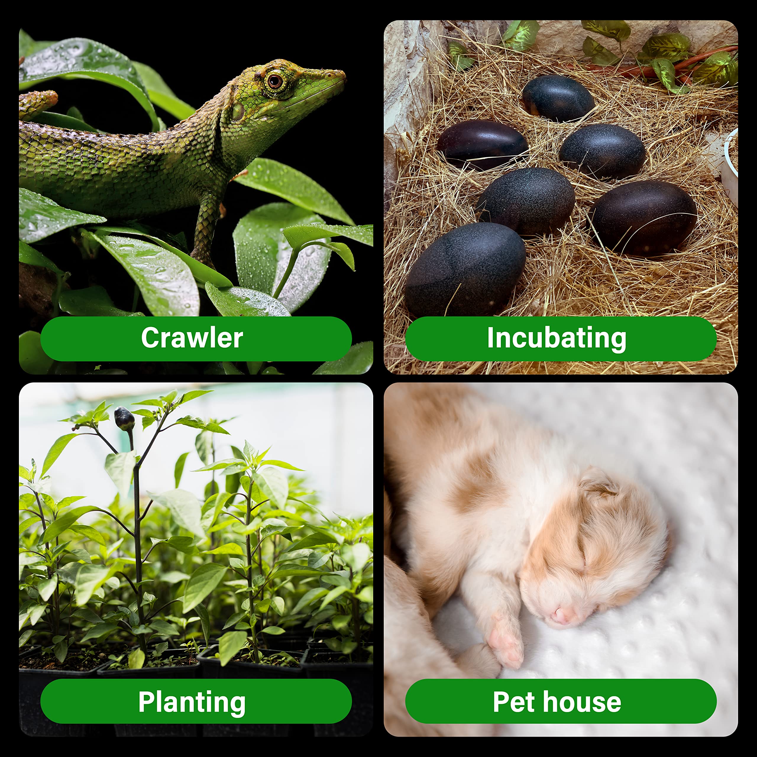 Foto 7 | Lámpara De Calor Para Reptiles Healsmart  Emisor De Calor De Cerámica  150 W  110 - 120 V - Venta Internacional.