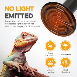 Foto 4 | Lámpara De Calor Para Reptiles Healsmart Emisor De Calor De Cerámica De 100 W Paquete De 2 - Venta Internacional.