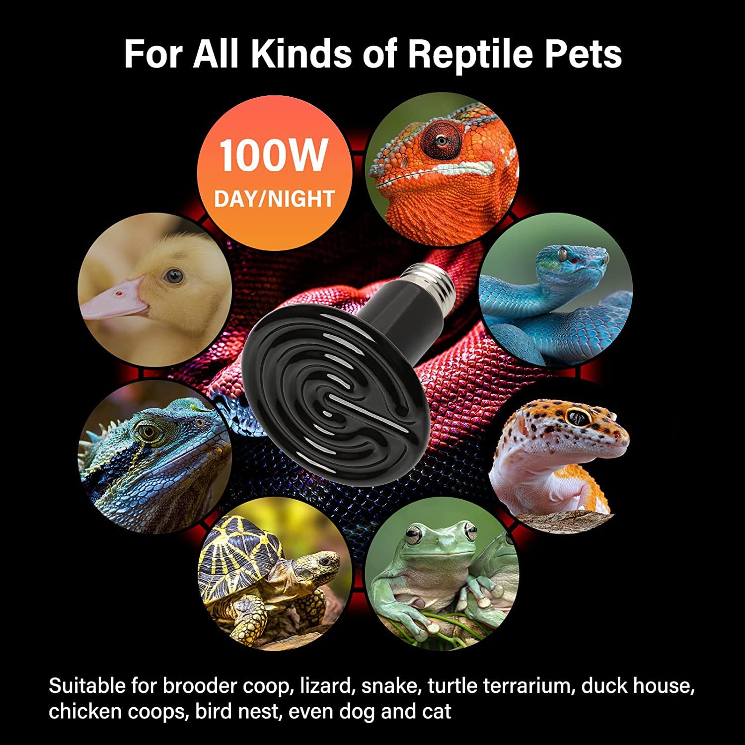 Foto 7 pulgar | Lámpara De Calor Para Reptiles Healsmart  100 W  Paquete De 2 Emisores De Cerámica - Venta Internacional.