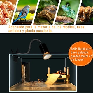 Foto 2 | Lámpara de Calor Xtellar con Bombillas