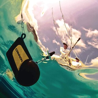 Foto 6 | Downrigger Accessory Cannon 2250141 Line Terminator Single - Venta Internacional.