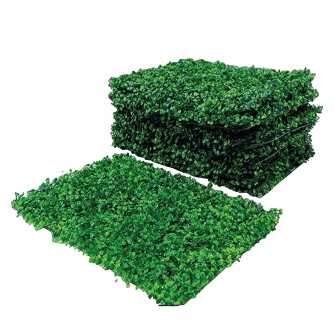 Foto 4 | Muro Verde Inmatmex 5 Piezas