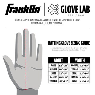 Foto 5 | Guante De Béisbol Franklin Sports Mlb A S Blanco/cromado - Venta Internacional.