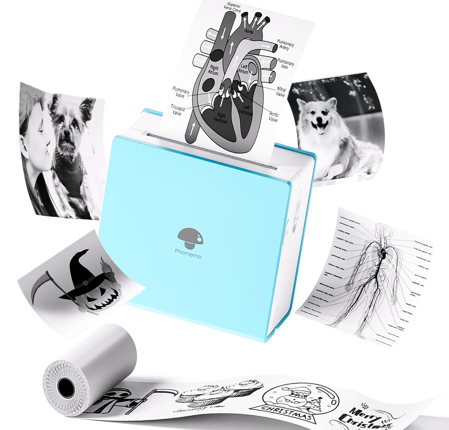 Foto 2 pulgar | Impresora Térmica Phomemo M02 Pocket Mini Sin Tinta Con Bluetooth - Venta Internacional.