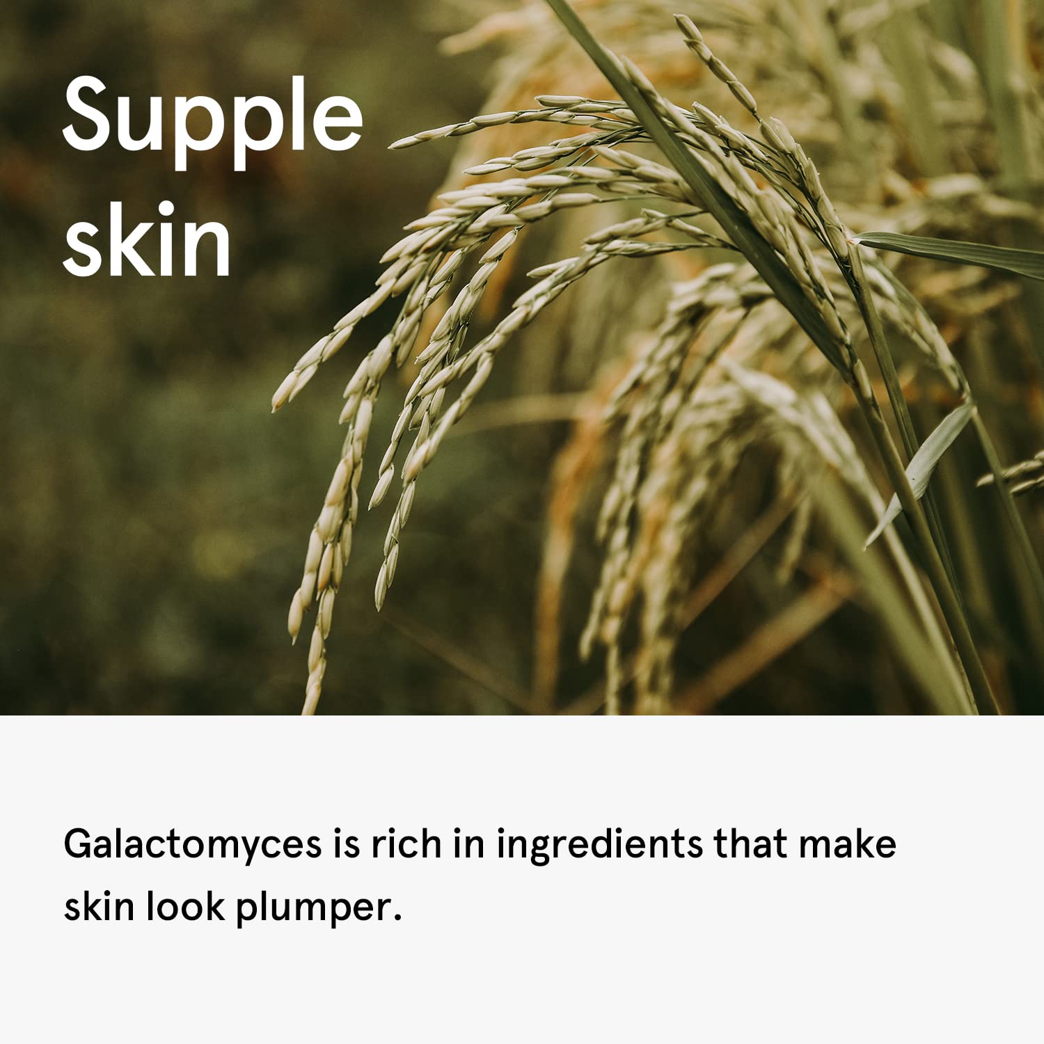 Foto 5 pulgar | Toner One Thing Galactomyces Ferment Filrate 150 Ml - Venta Internacional.