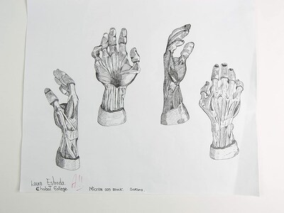 Foto 7 | Bolígrafos De Punta Fina Sakura Pigma Micron, Tamaño 08 Puntos, 6 Unidades - Venta Internacional.