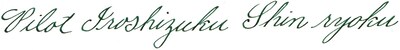 Foto 4 | Tinta Para Pluma Estilográfica Pilot Iroshizuku Shin-ryoku Forest Green 50 Ml - Venta Internacional.