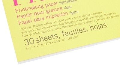 Foto 4 | Bloc De Papel Para Grabado Strathmore Serie 300 11x14 120g - Venta Internacional.