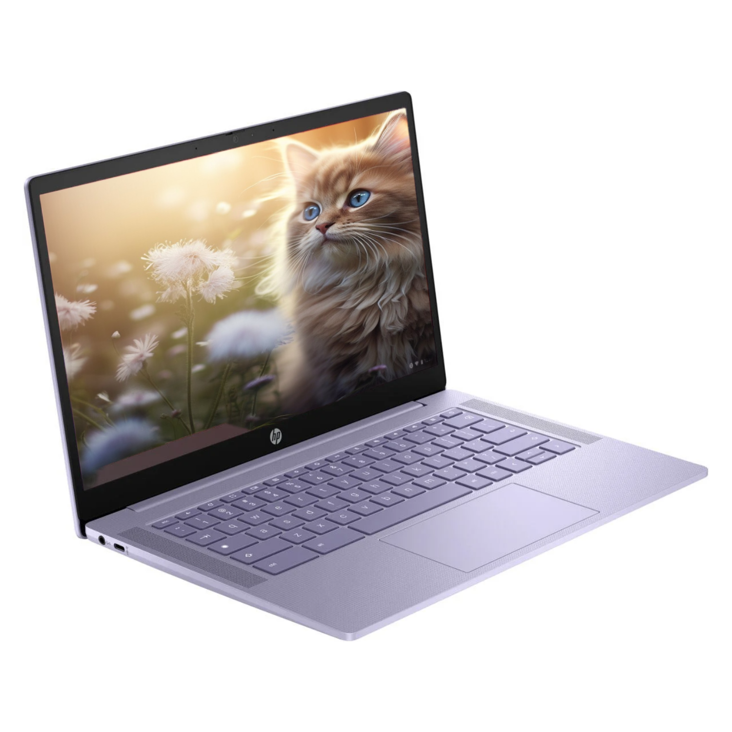 Foto 3 pulgar | Laptop Hp Chromebook 14” Táctil Intel N100 4GB RAM 128GB UFS ChromeOS