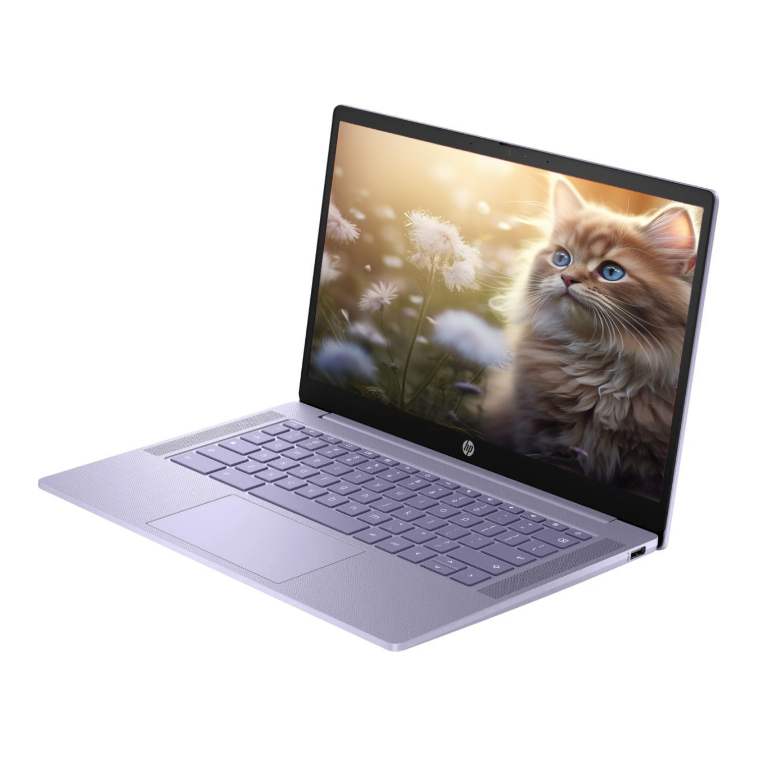 Foto 4 pulgar | Laptop Hp Chromebook 14” Táctil Intel N100 4GB RAM 128GB UFS ChromeOS