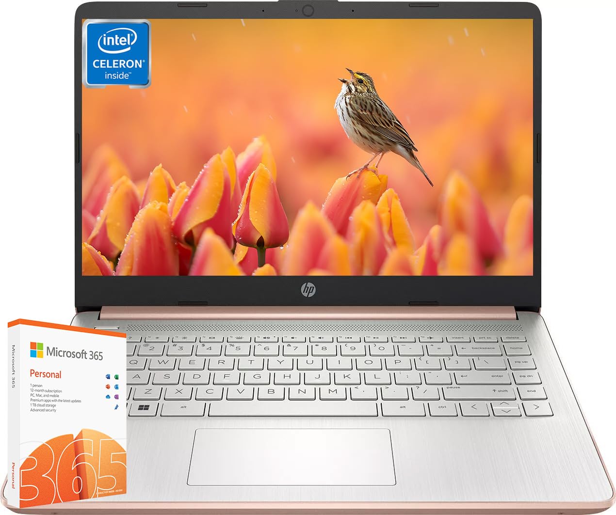 Foto 1 | Ordenador Portátil Hp 14 Ultraligero Para Empresas Intel Celeron 16 Gb 384 Gb - Venta Internacional.