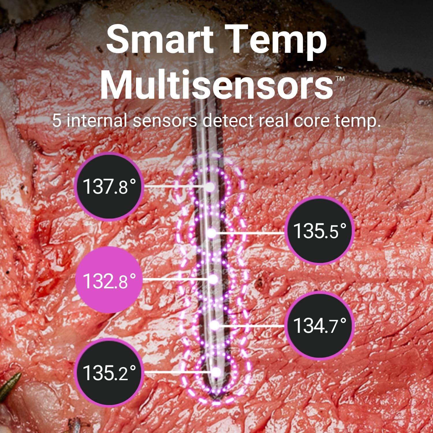 Foto 5 pulgar | Termómetro Inteligente Para Carne Meater 2 Plus 100% Resistente Al Agua - Venta Internacional.