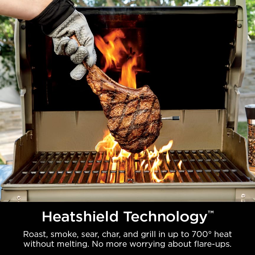 Foto 3 pulgar | Termómetro Inalámbrico Para Carne Ninja Prochef Wp100 Bluetooth - Venta Internacional.