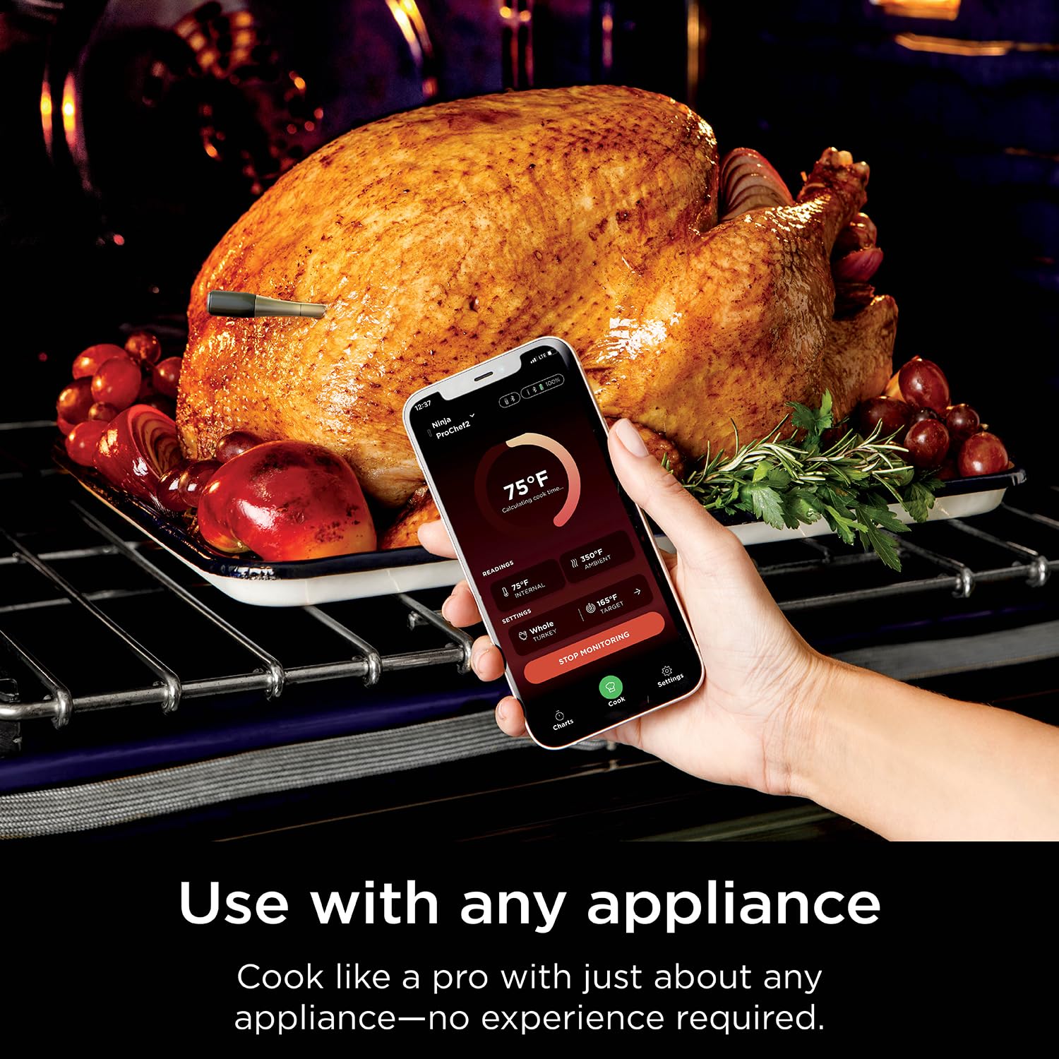 Foto 7 pulgar | Termómetro Inalámbrico Para Carne Ninja Prochef Wp100 Bluetooth - Venta Internacional.