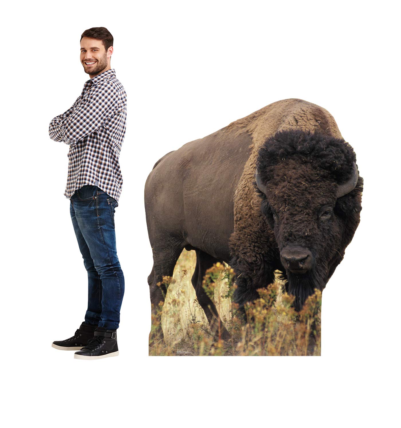 Foto 4 pulgar | Cartón Vertical Con Forma De Bisonte, Tamaño Natural, Con Forma De Bisonte - Venta Internacional.