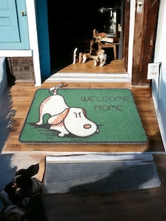 Foto 3 | Tapete Entrada Casa Bienvenida Exterior Antiderrapante Perro