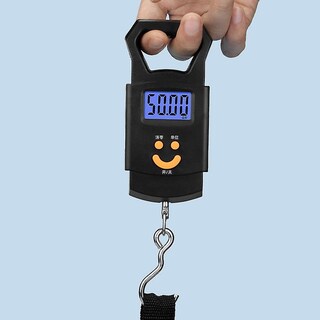Foto 3 | Báscula De Peso Portátil Para Equipaje Huoguo Lb-502 50 Kg/10 G - Venta Internacional.