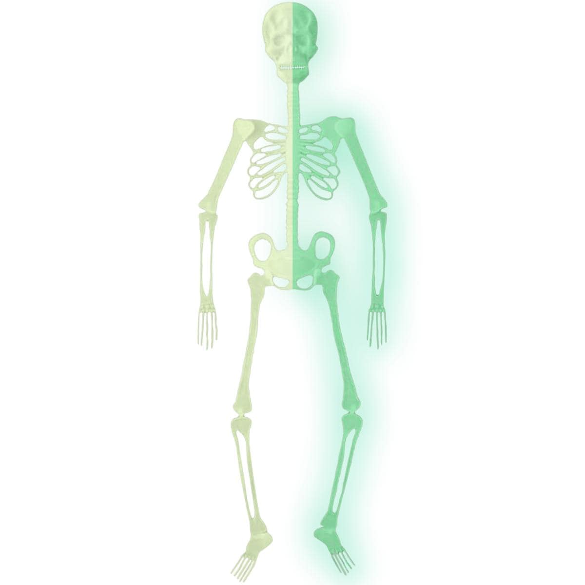 Decorativo De Esqueleto Ventdepot Mxskz-001 1 Pieza Verde $484