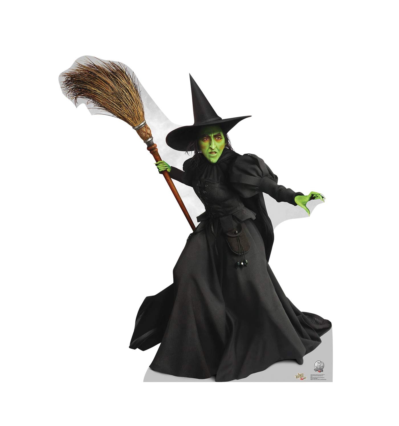 People Wicked Witch Con Recorte De Cartón - Venta Internacional. $1,382