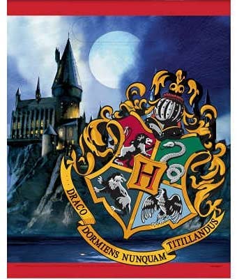 Foto 2 | Artículos De Fiesta Únicos Para Cumpleaños De Harry Potter Con Bolsas De Botín - Venta Internacional.