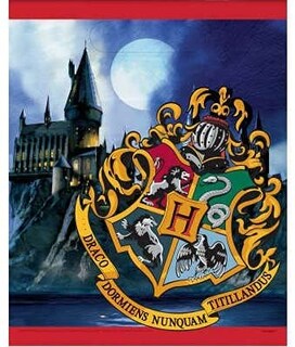 Foto 2 | Artículos De Fiesta Únicos Para Cumpleaños De Harry Potter Con Bolsas De Botín - Venta Internacional.