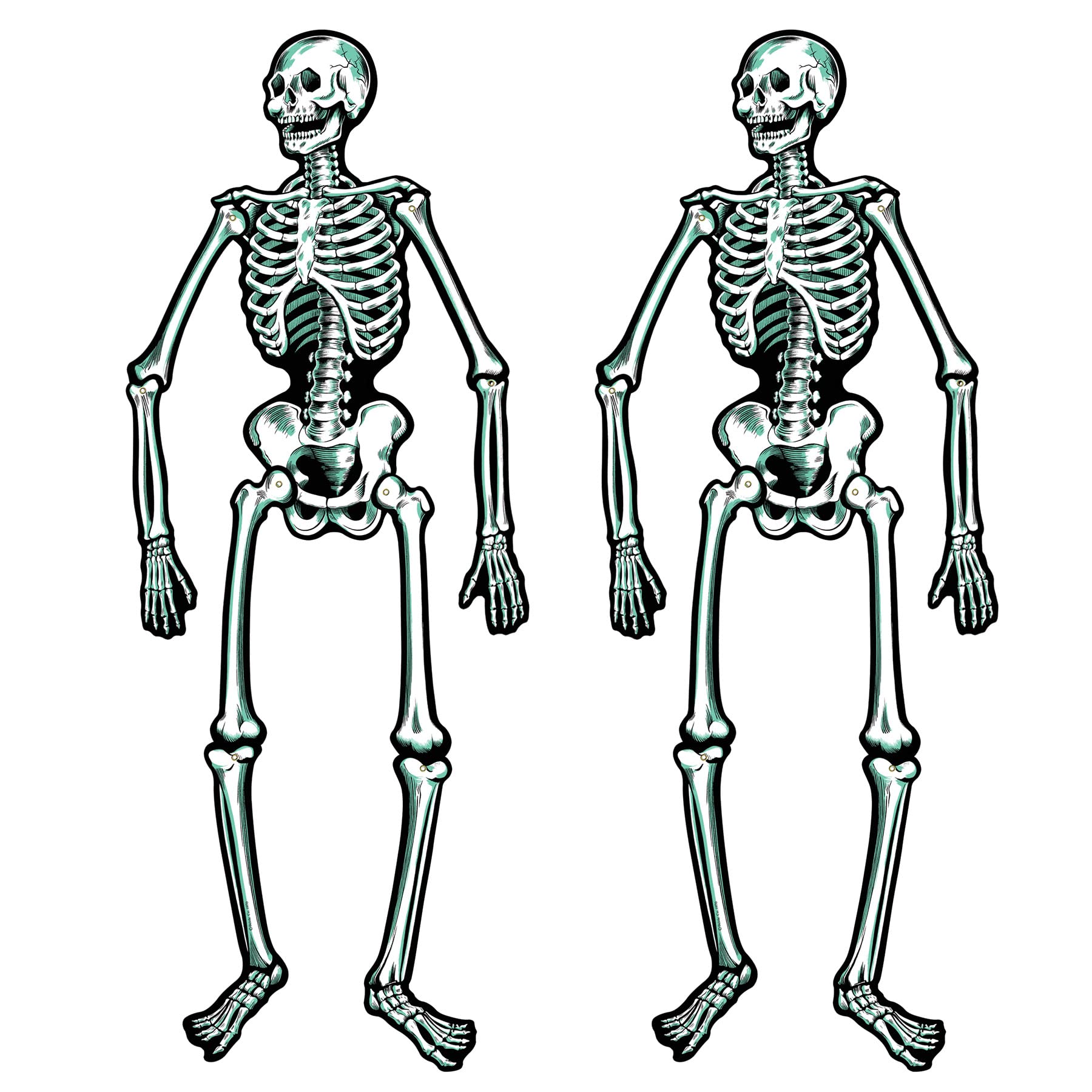 Foto 1 | Jointed Skeletons Beistle, 22 Cm, 2 Unidades Por Paquete Para Fiesta De Halloween - Venta Internacional.