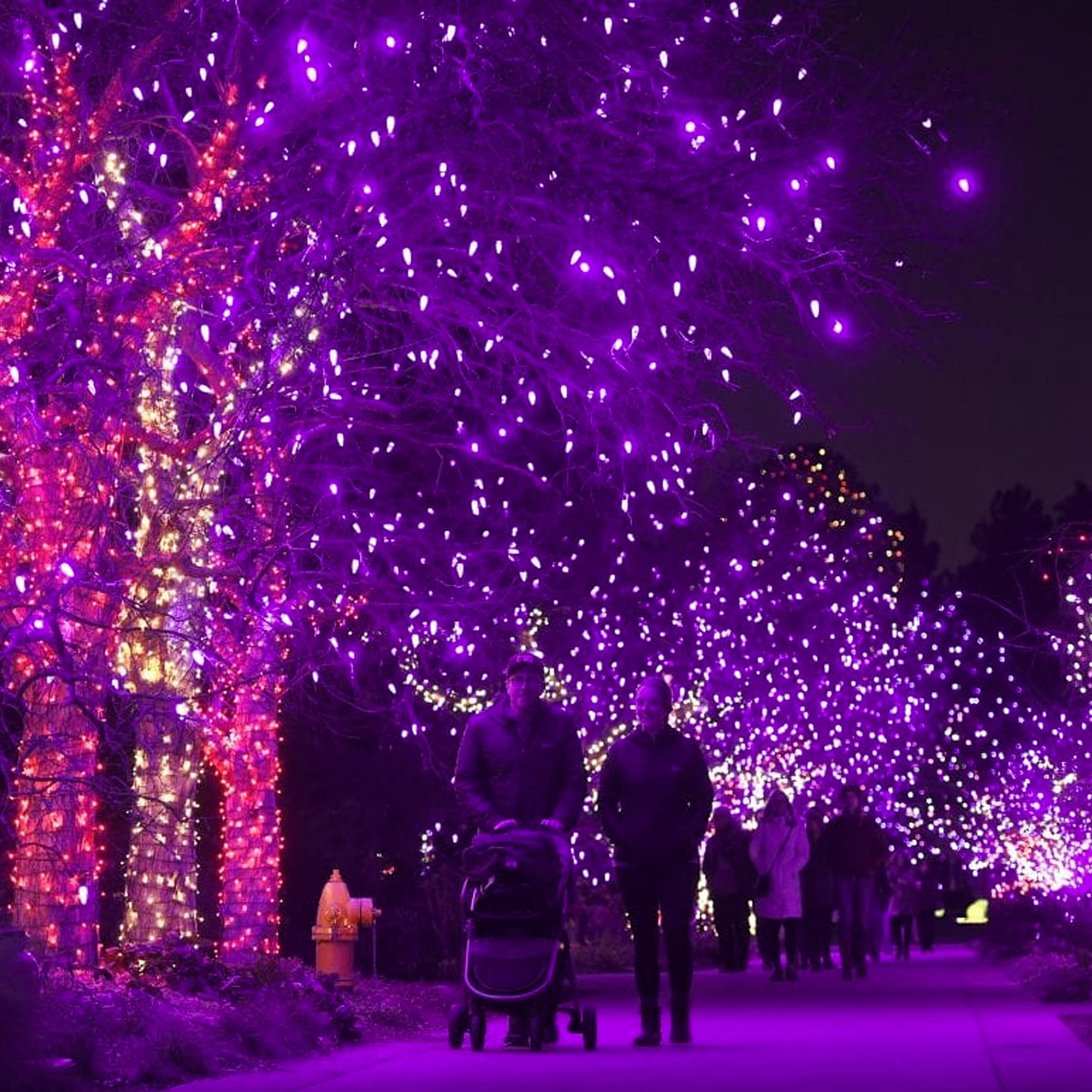 Foto 4 pulgar | Cadena de Luces Dazzle Bright Halloween 300 Led 100 Pies Morado - Venta Internacional