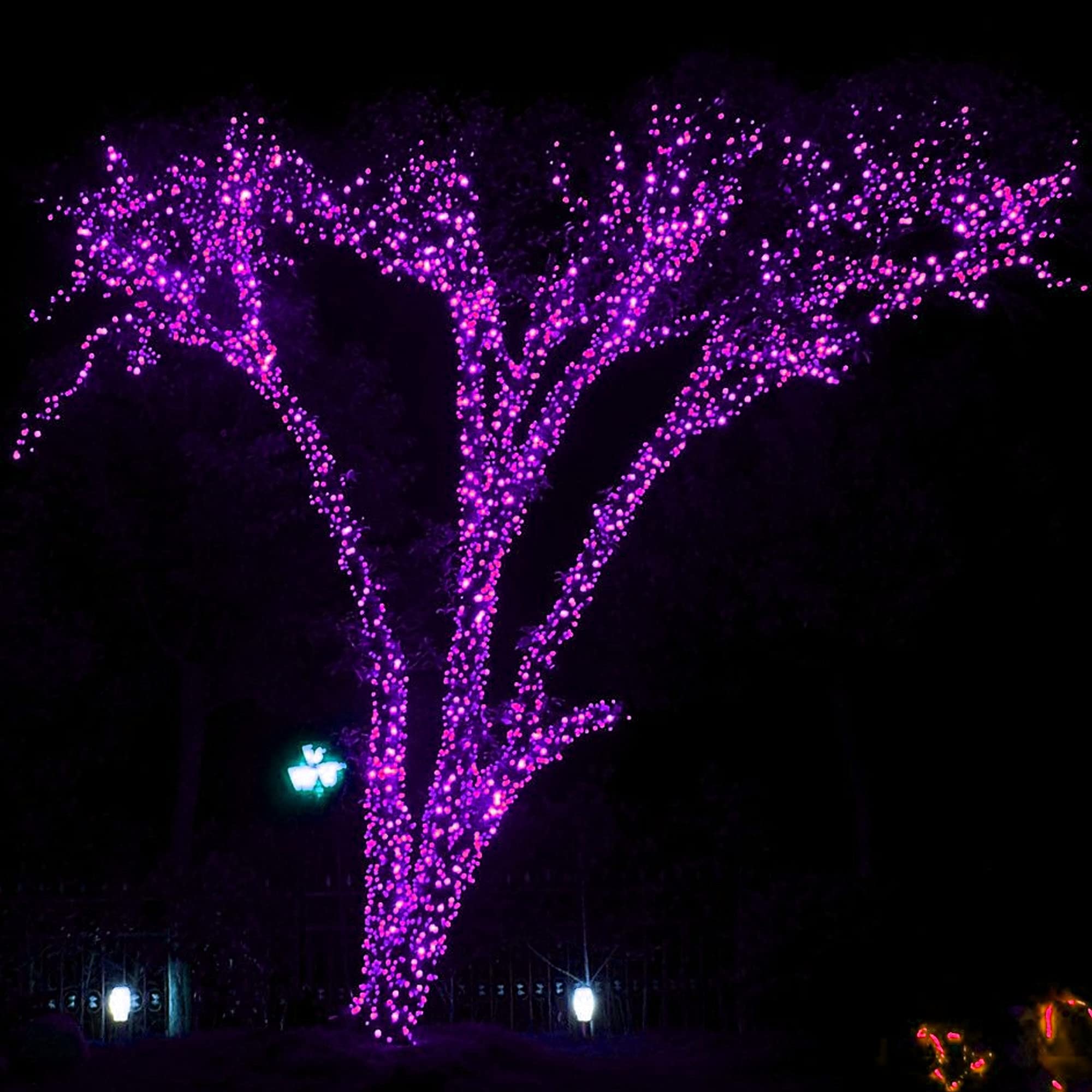 Foto 6 pulgar | Cadena de Luces Dazzle Bright Halloween 300 Led 100 Pies Morado - Venta Internacional