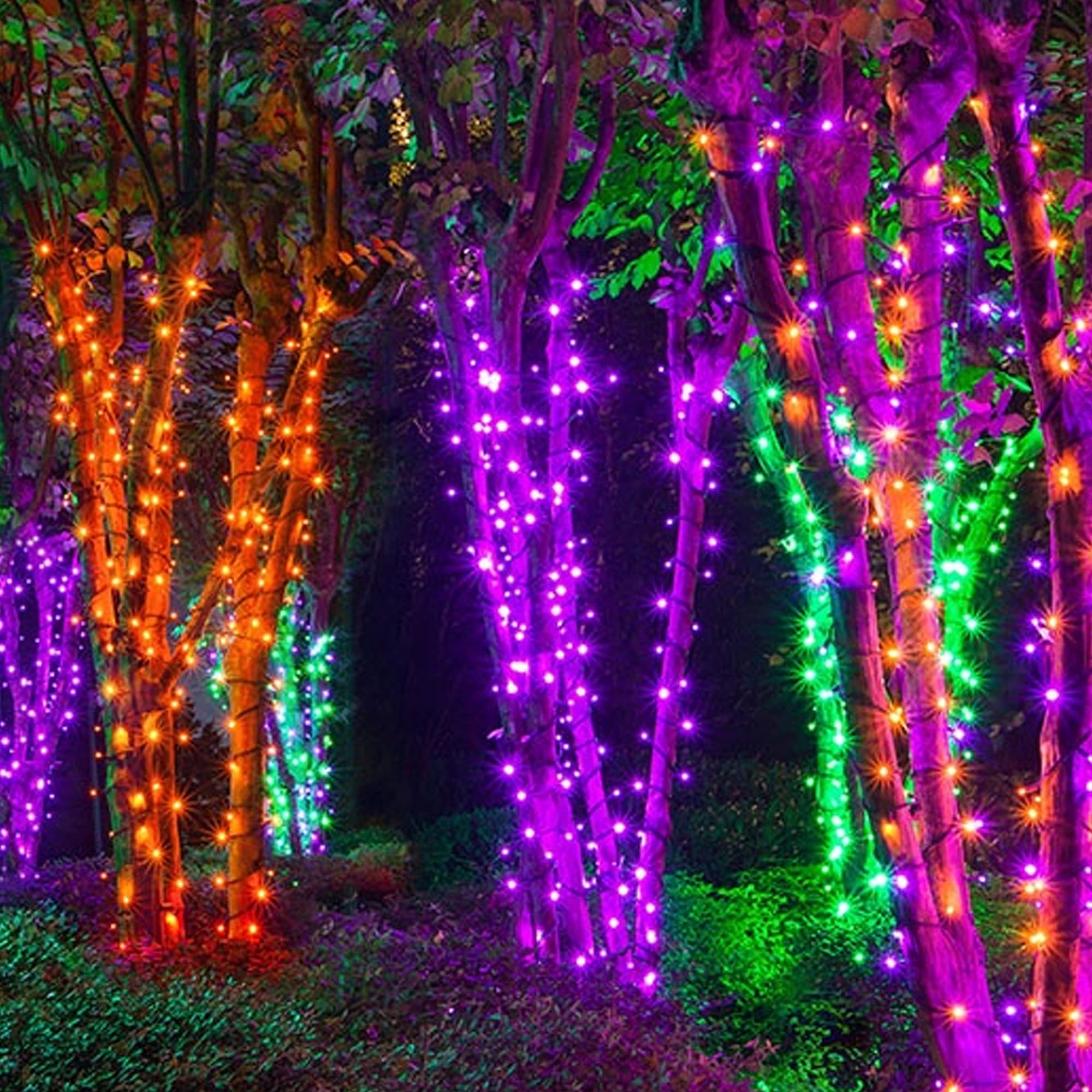 Foto 8 pulgar | Cadena de Luces Dazzle Bright Halloween 300 Led 100 Pies Morado - Venta Internacional
