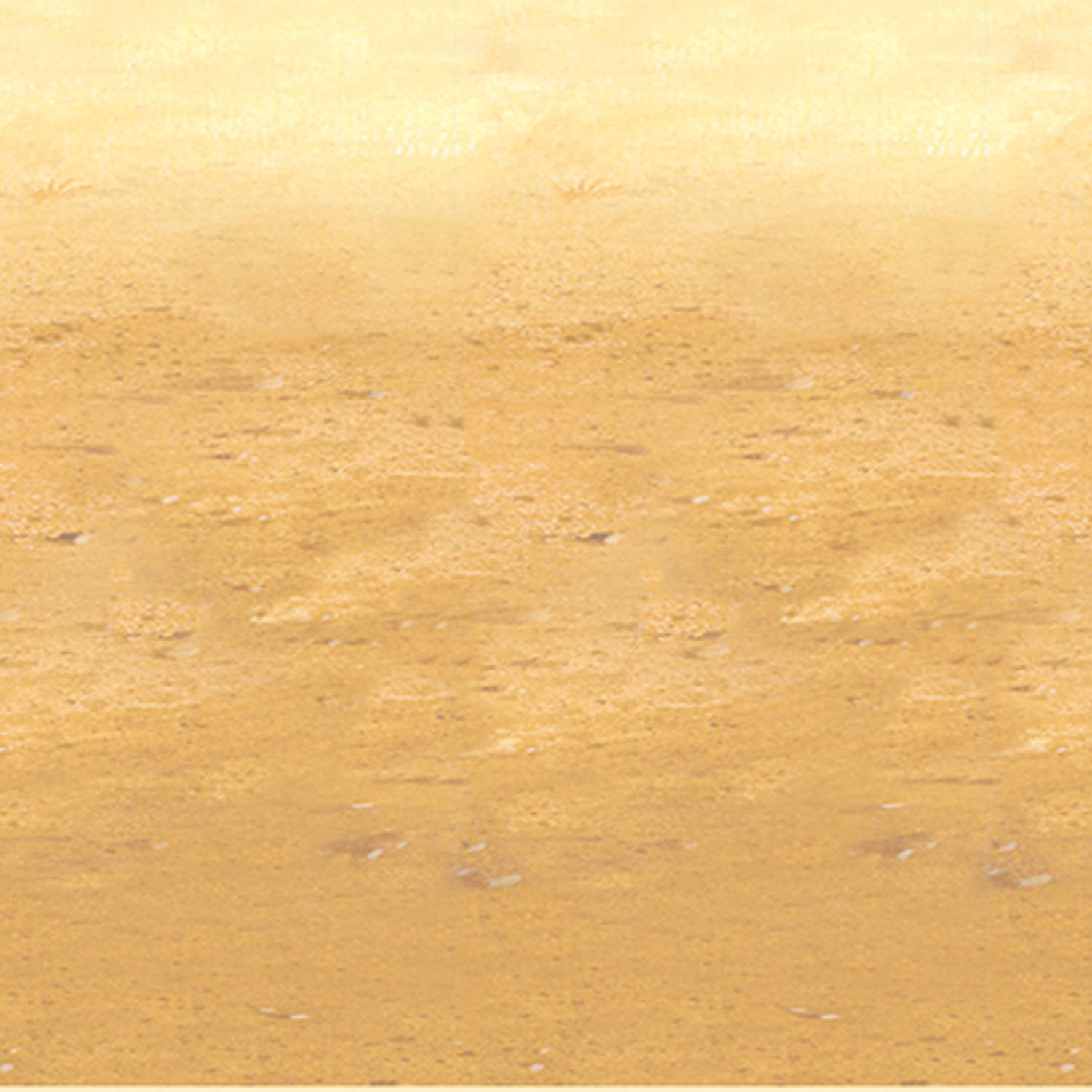 Foto 3 pulgar | Lámina De Plástico Backdrop Beistle Desert Sand De 1,2 M X 9 M - Venta Internacional.