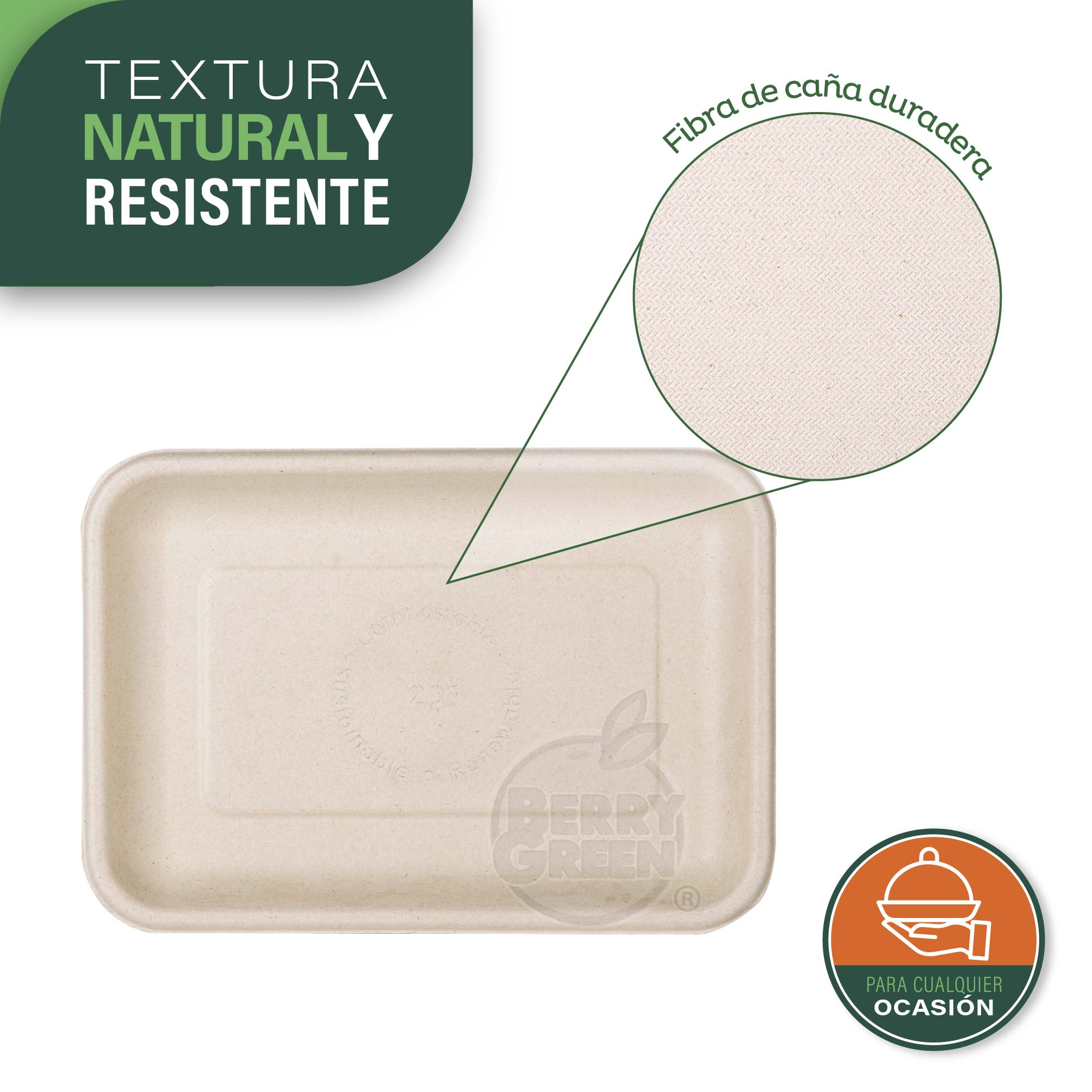 Foto 3 pulgar | Platos Desechables Rectangulares 50 Piezas