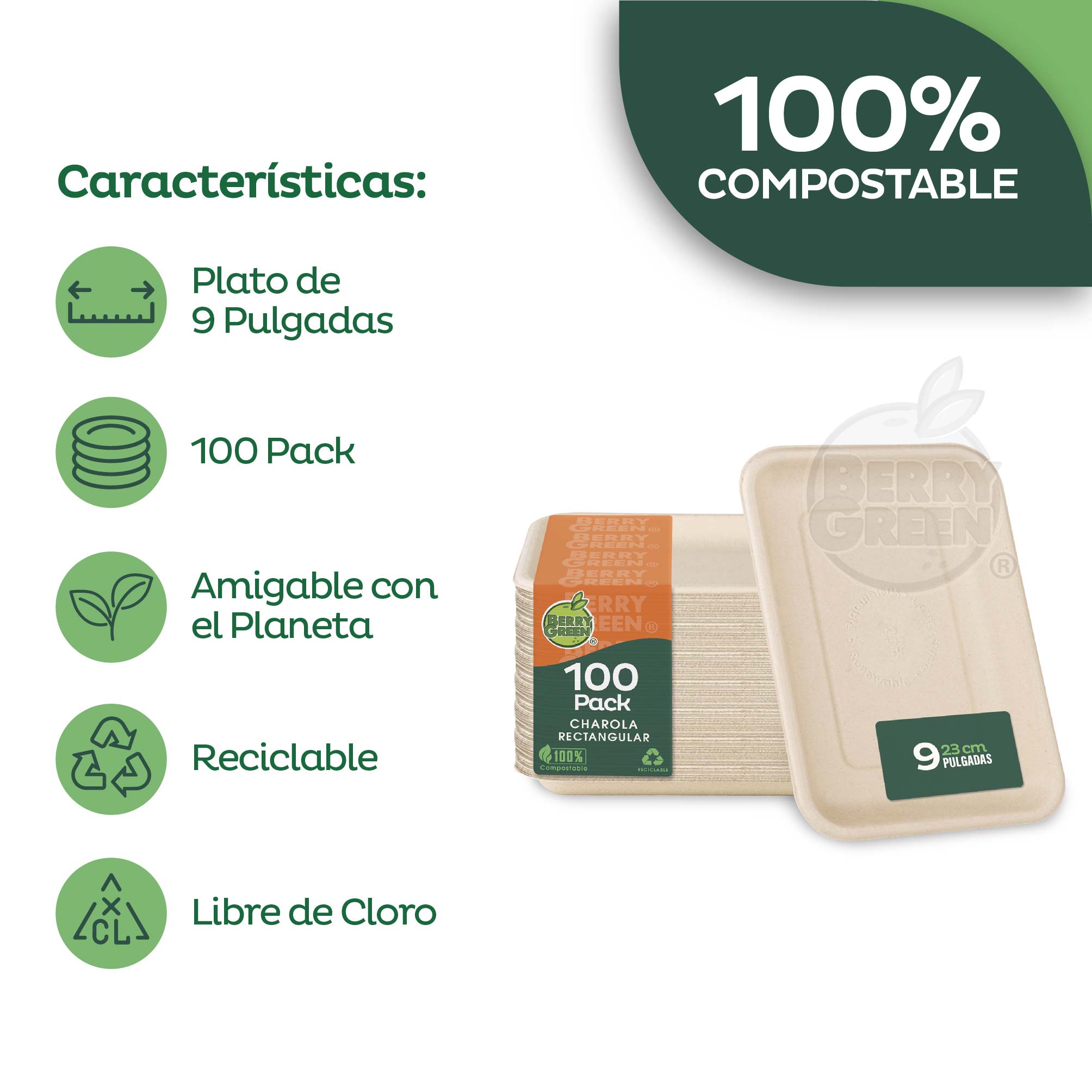Foto 5 | Platos Desechables Rectangulares 50 Piezas