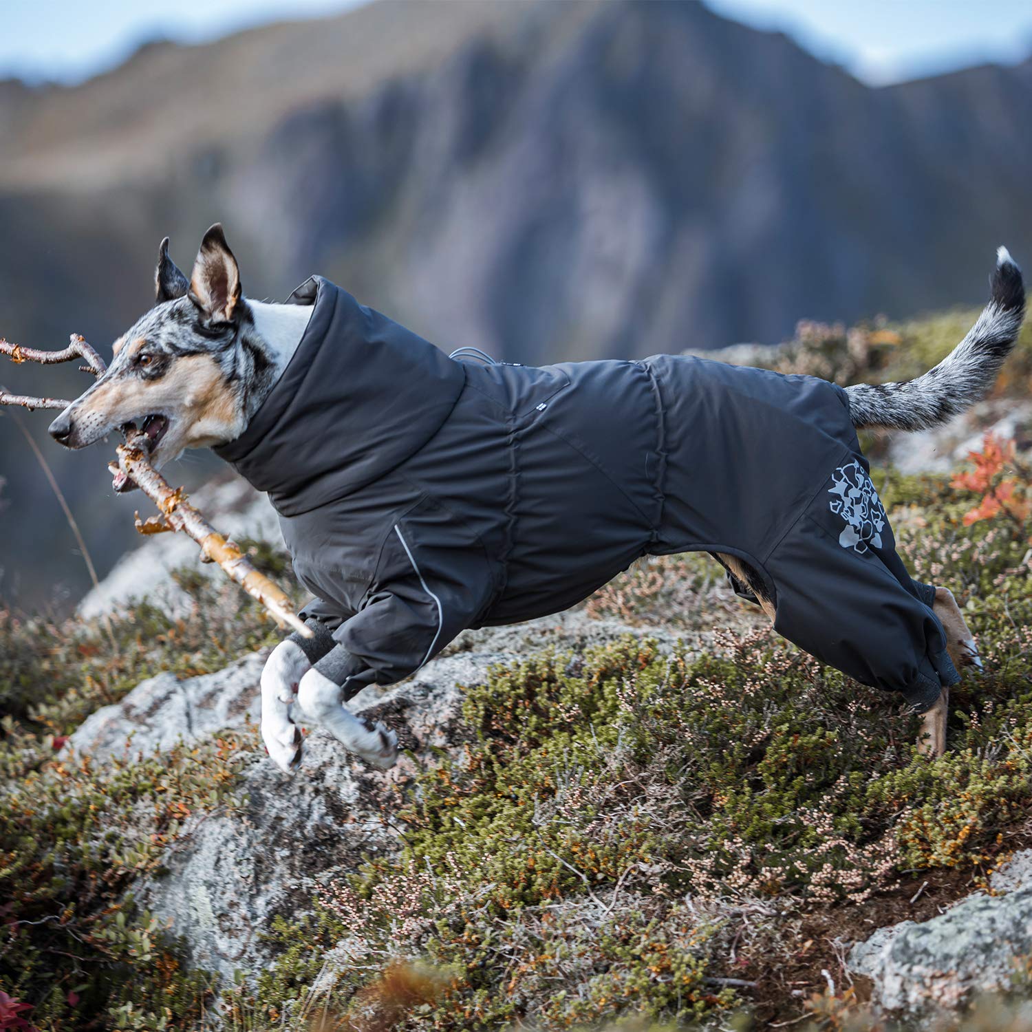 Foto 3 pulgar | Traje De Nieve Para Perros Hurtta Extreme En Total Para Blackberry, Talla 24 M - Venta Internacional.