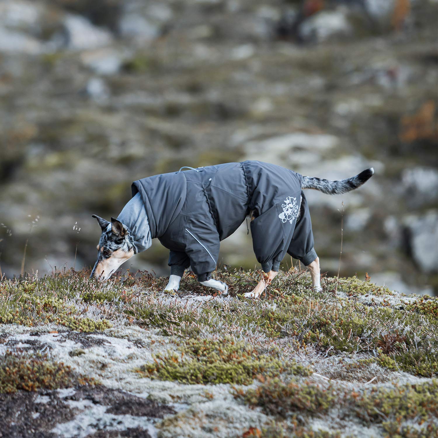 Foto 5 pulgar | Traje De Nieve Para Perros Hurtta Extreme En Total Para Blackberry, Talla 24 M - Venta Internacional.