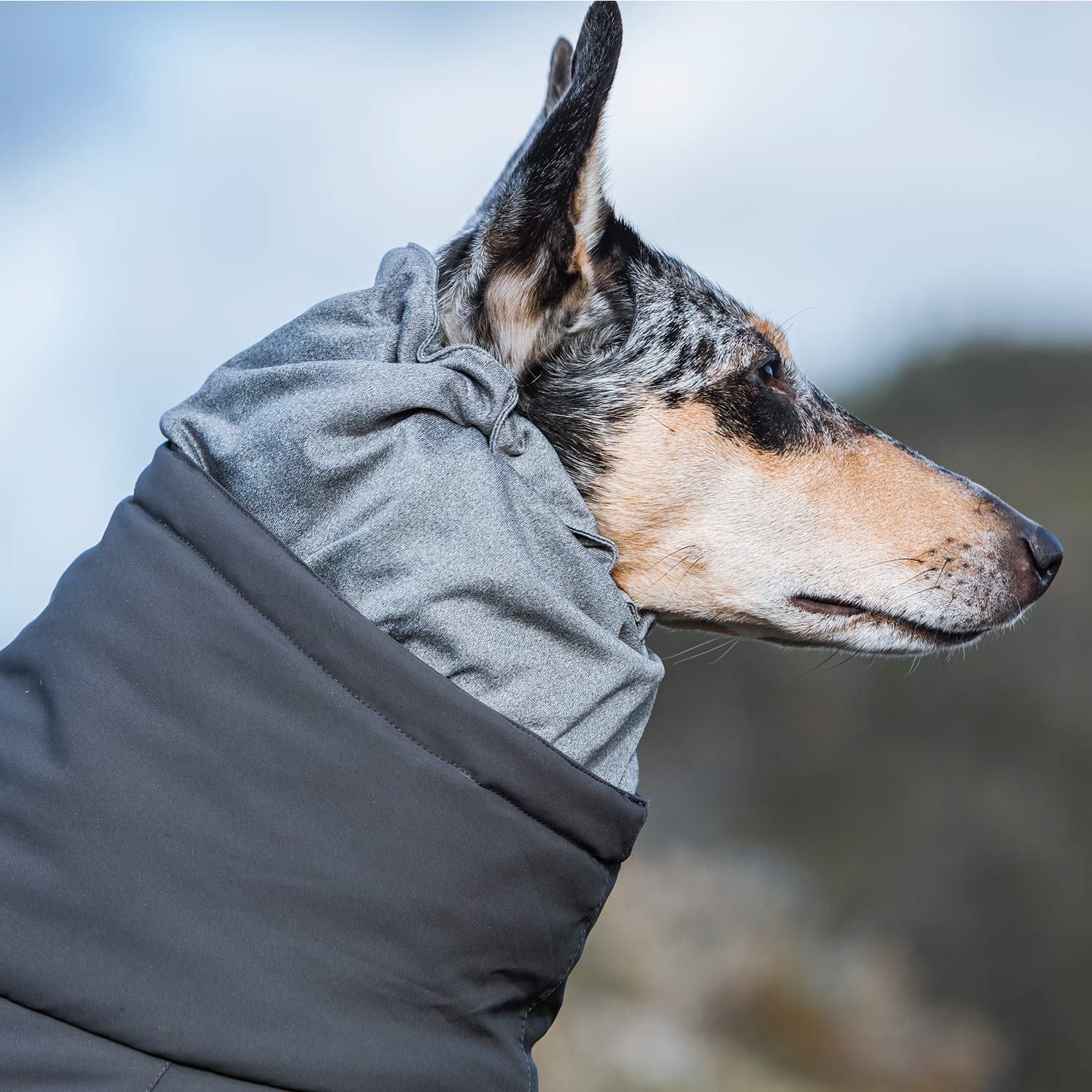 Foto 6 pulgar | Traje De Nieve Para Perros Hurtta Extreme En Total Para Blackberry, Talla 24 M - Venta Internacional.