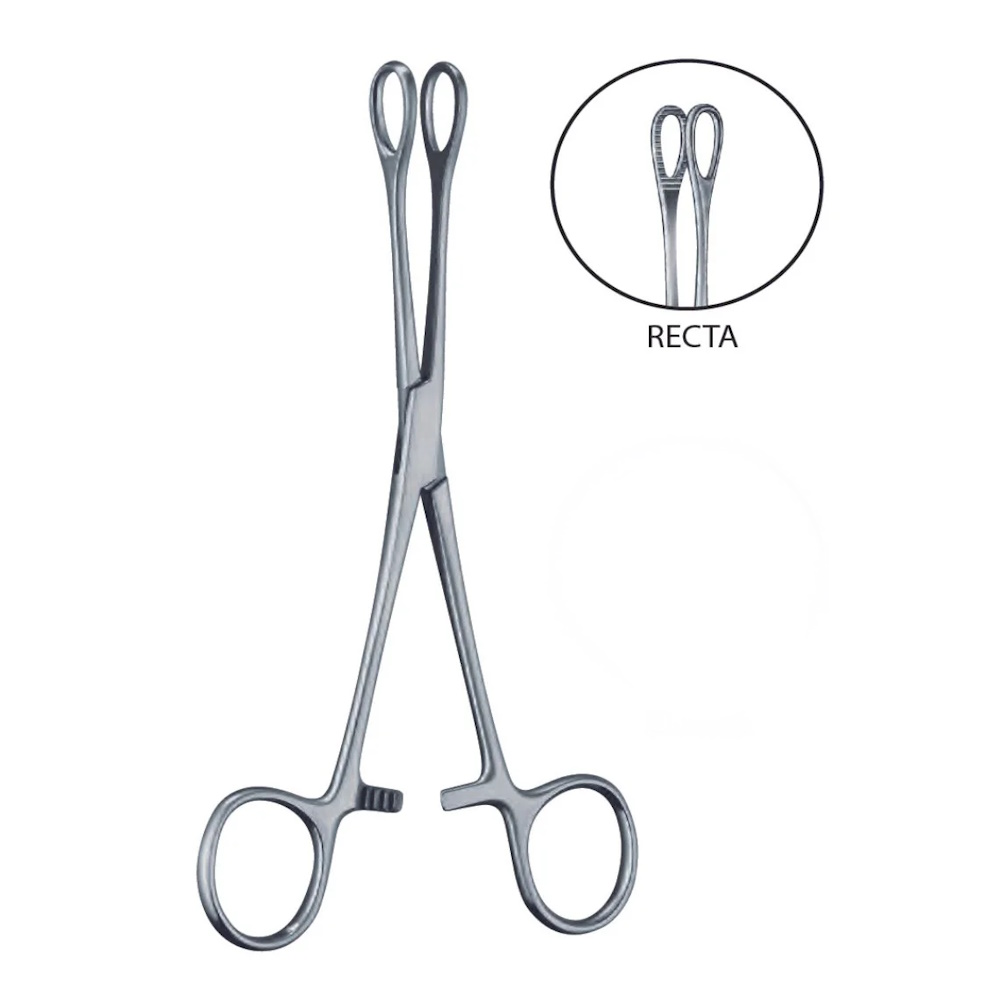 Foto 4 pulgar | Pinza Forester Recta Hergom Silvery 24cm Porta Esponjas