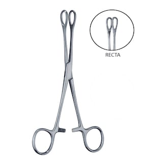 Foto 3 | Pinza Forester Recta Hergom Silvery 24cm Porta Esponjas