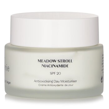 Foto 3 pulgar | Crema Hidratante Flanerie Antioxidante Day Spf 20 Vegan - Venta Internacional.